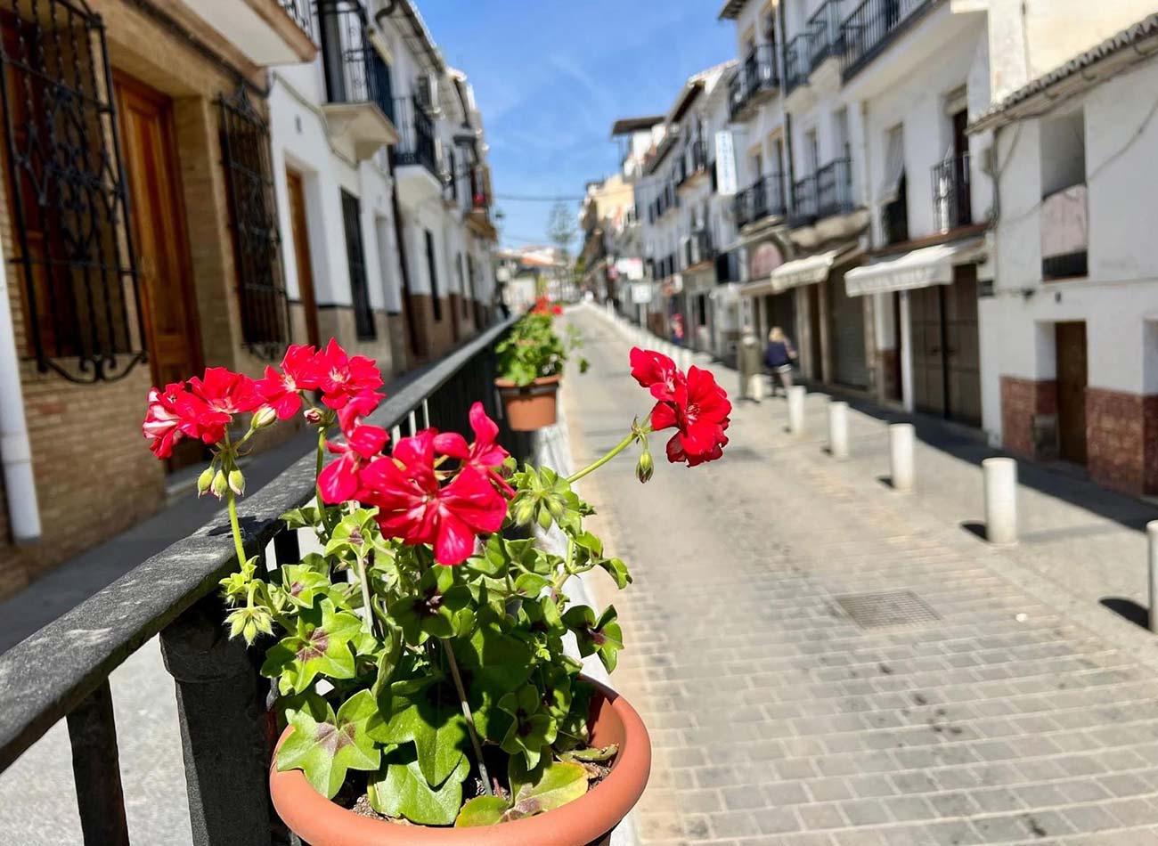 Peaceful streets of Álora village with traditional whitewashed houses and authentic Andalusian character.
Calles tranquilas del pueblo de Álora con casas blancas tradicionales y ambiente auténtico andaluz