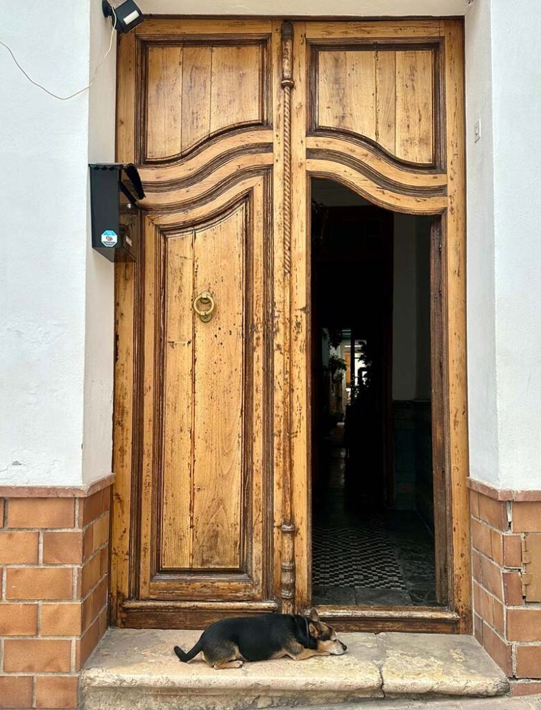 Django descansando junto a la puerta de entrada de CASABELLA