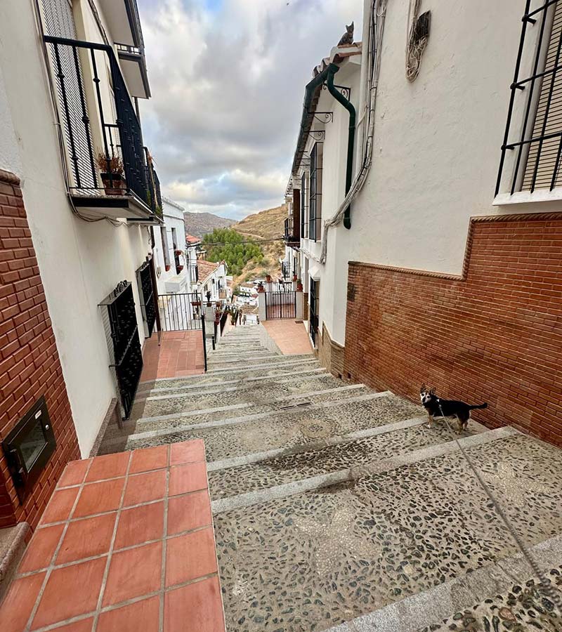 An early September walk through the streets of Álora, with Django leading the way as usual.